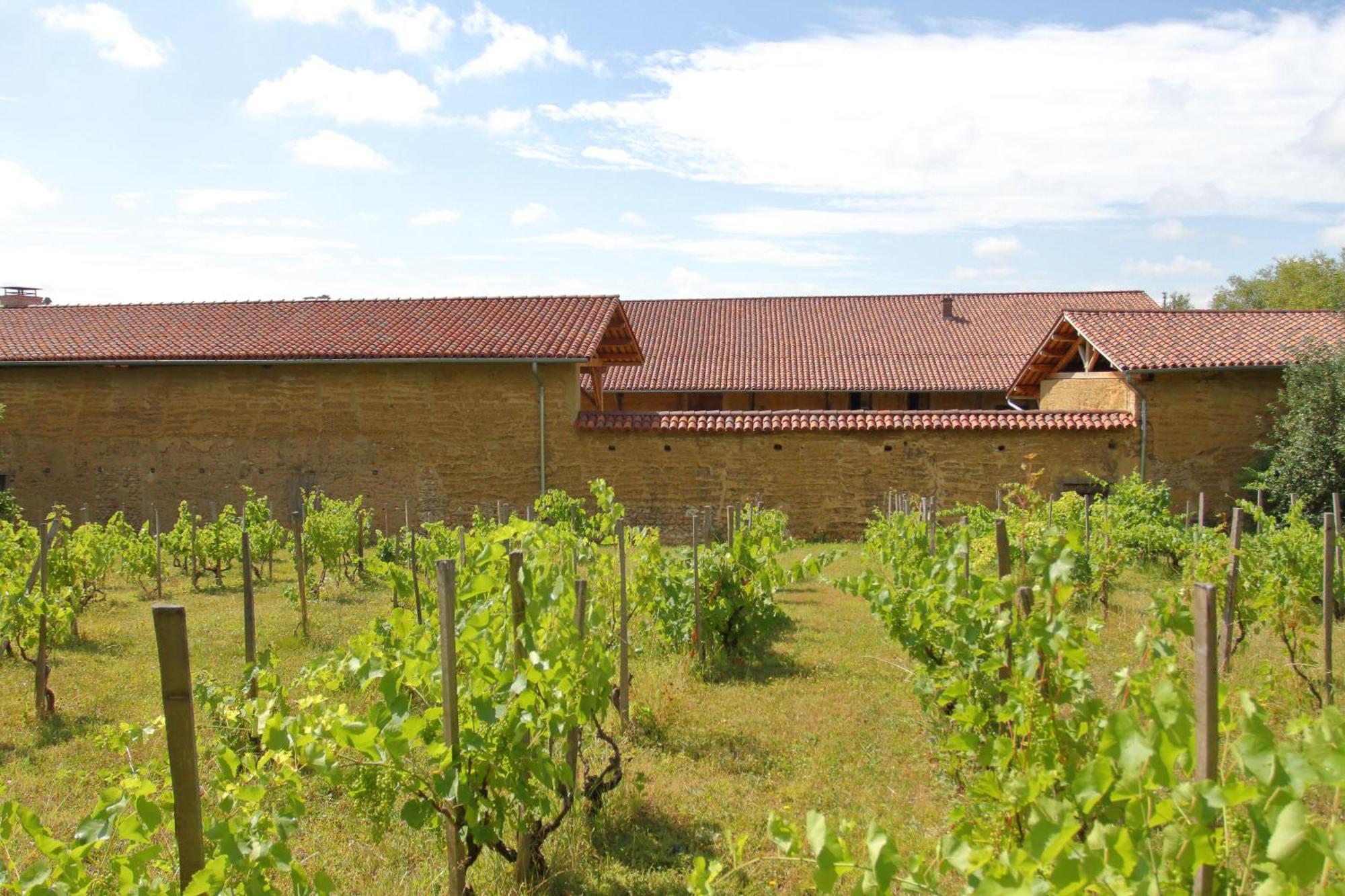 La Ferme De Berlioz Apart otel La Cote-Saint-Andre Dış mekan fotoğraf